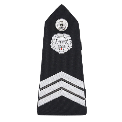 Epaulière Army Sample 3