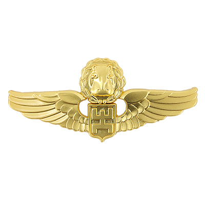 Échantillon d'insigne de l'armée 2